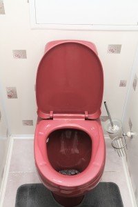 home flush toilet