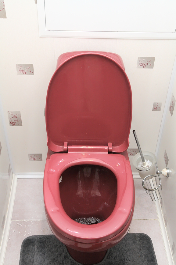 Home flush toilet (toilet bowl, plunger)
